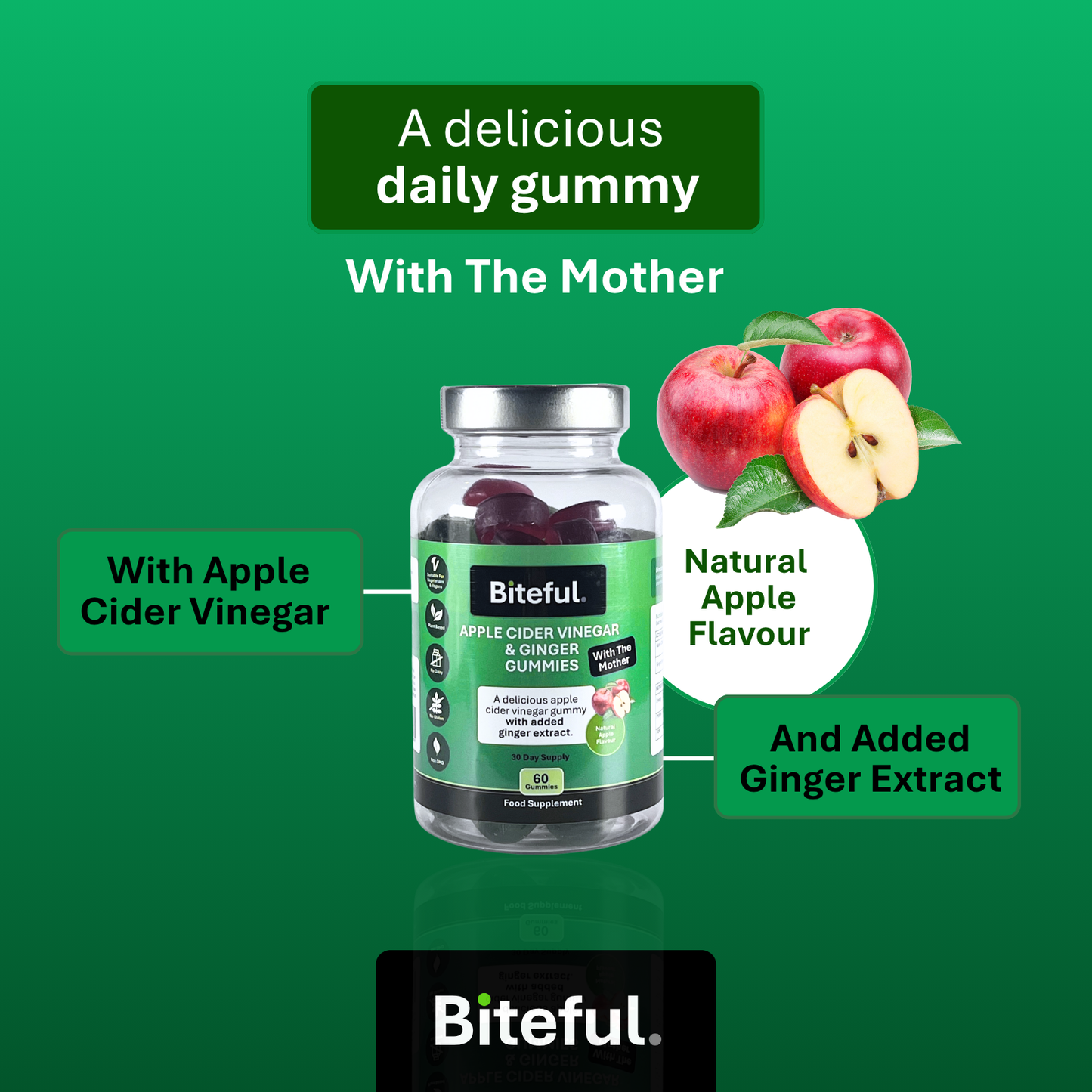 Apple Cider Vinegar & Ginger Gummies - 60 Vegan Gummies