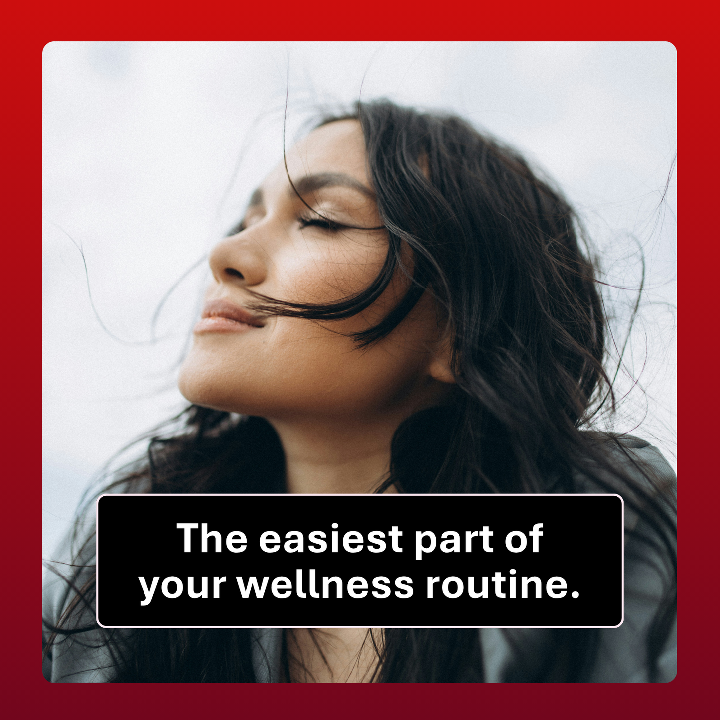 Essentials Bundle